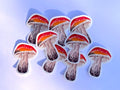 Stickers d'automne illustré à l'aquarelle