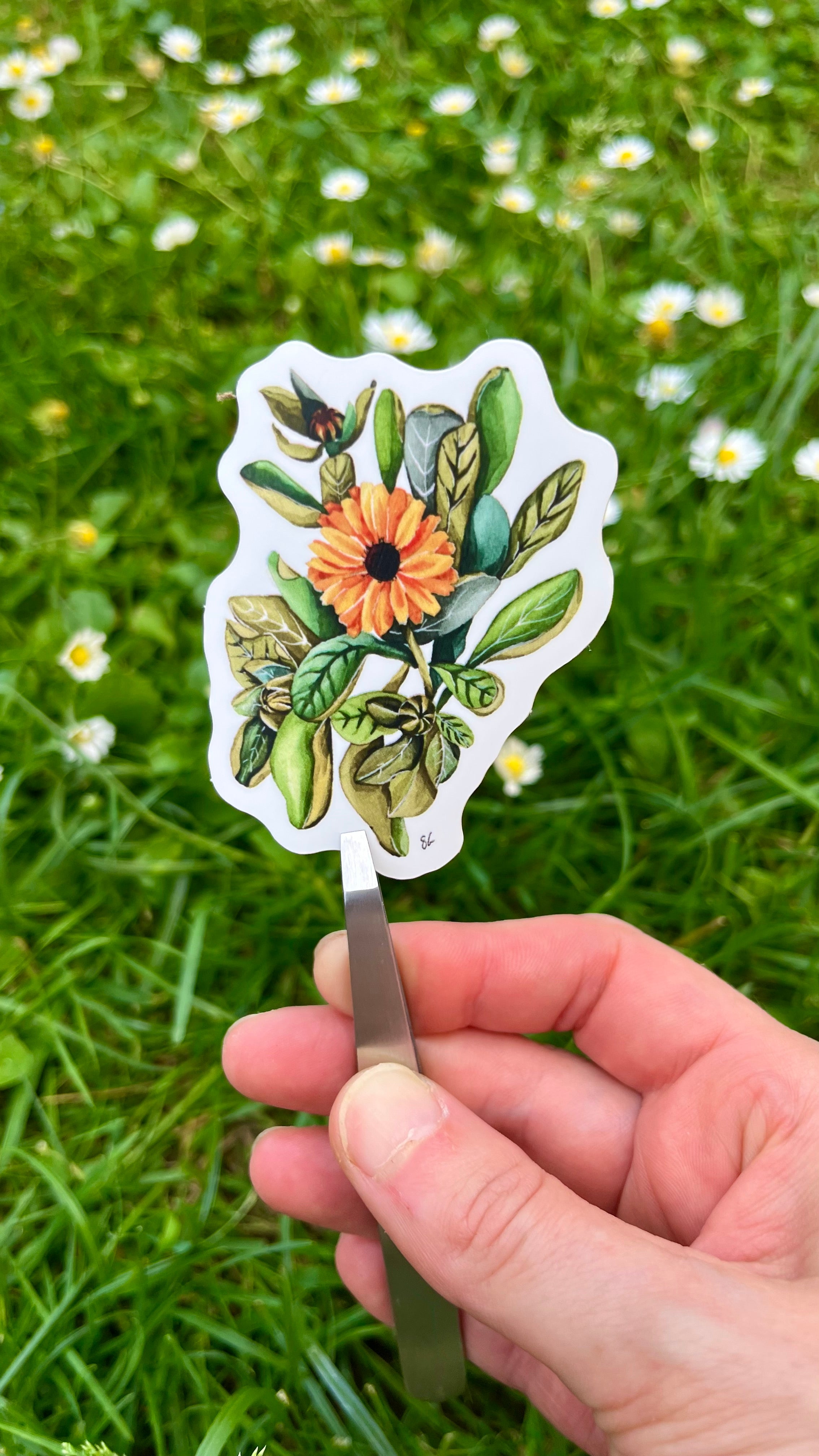 Stickers souci aquarelle originale - Susanna Gallery
