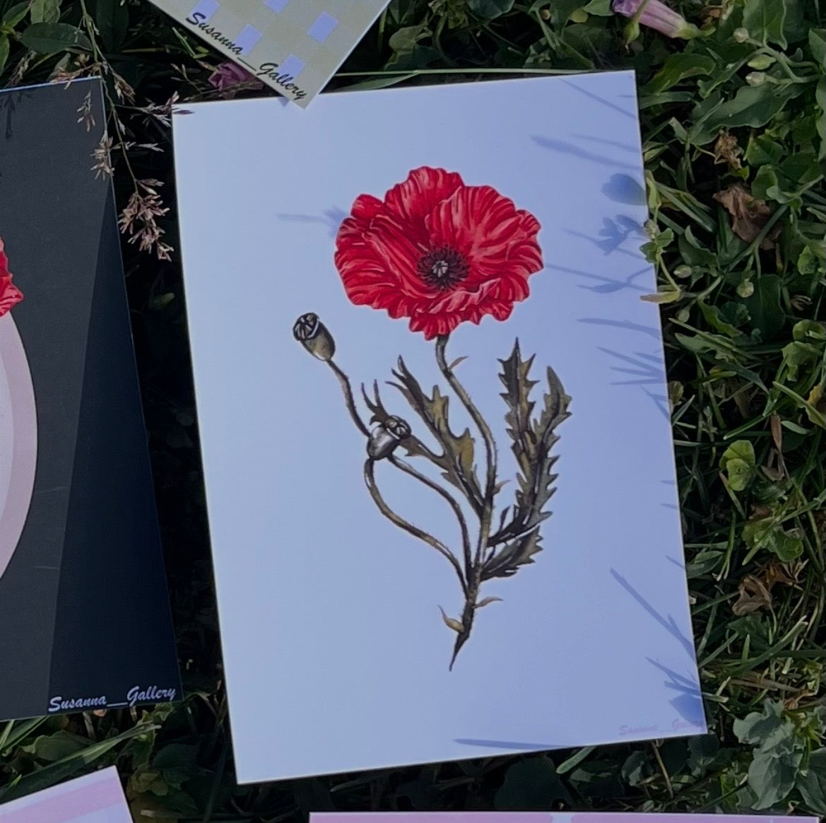 Carte imprimée coquelicot fond blanc aquarelle - Susanna Gallery