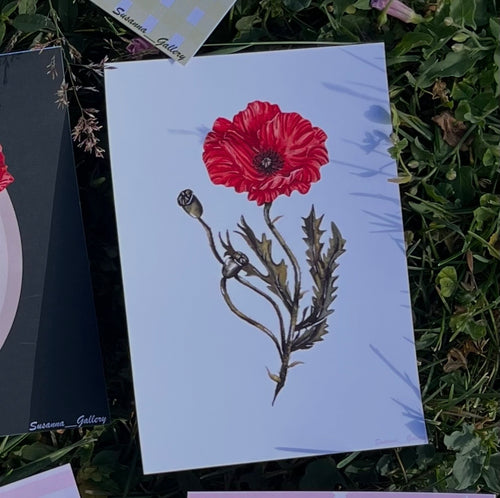 Carte imprimée coquelicot fond blanc aquarelle - Susanna Gallery