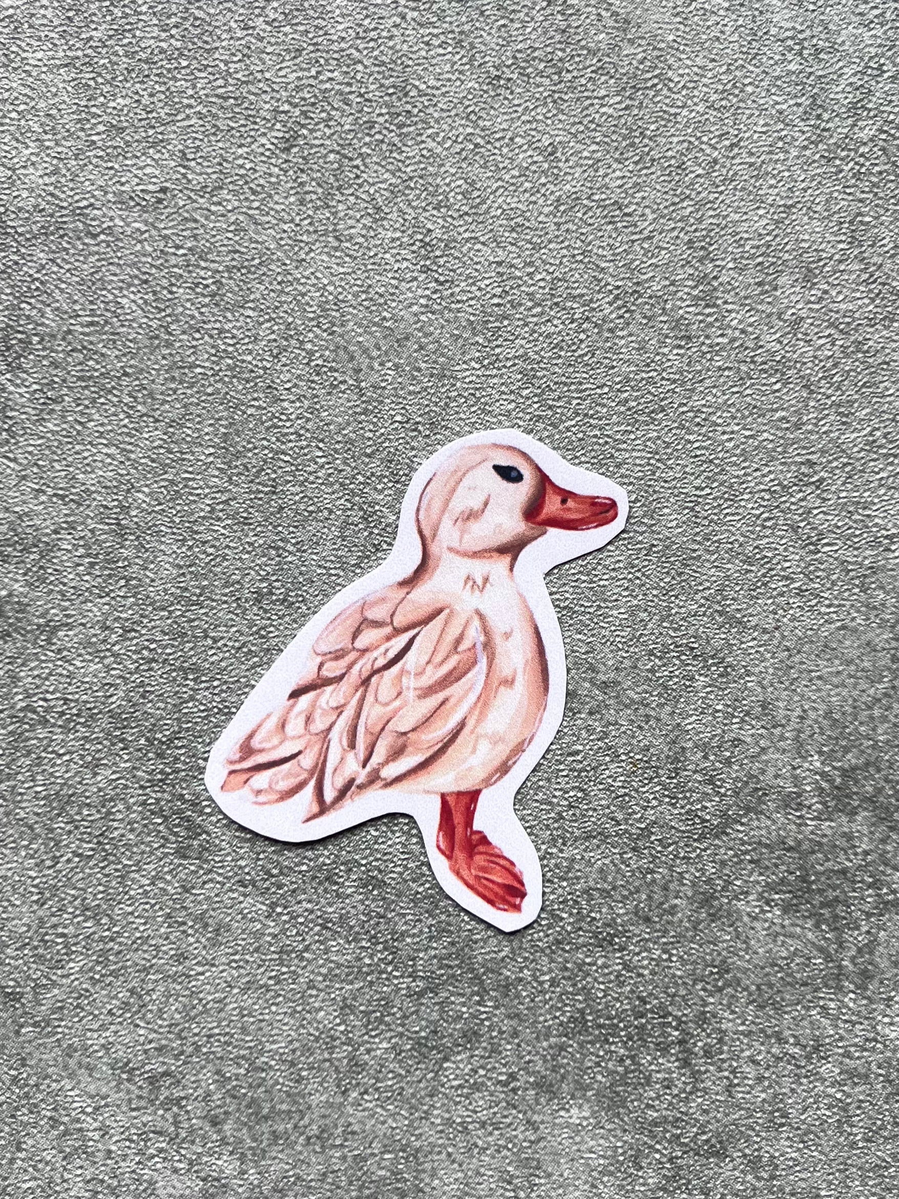 Stickers aquarelle canard Susanna Gallery